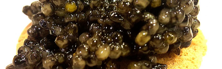 Caviar en el Restaurante la Española Madrid